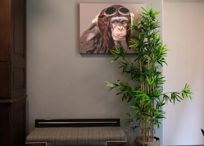 Nuevo Y Moderno Departamento En Zona De Santa Fe Apartamento *
